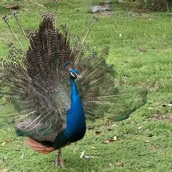 Meet your Posher, Cathe - Picture 2 of 2